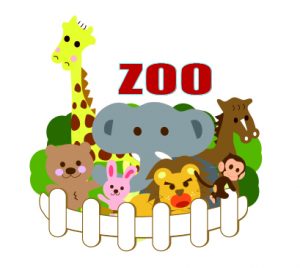 new zoo