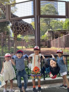 giraffe ueno zoo