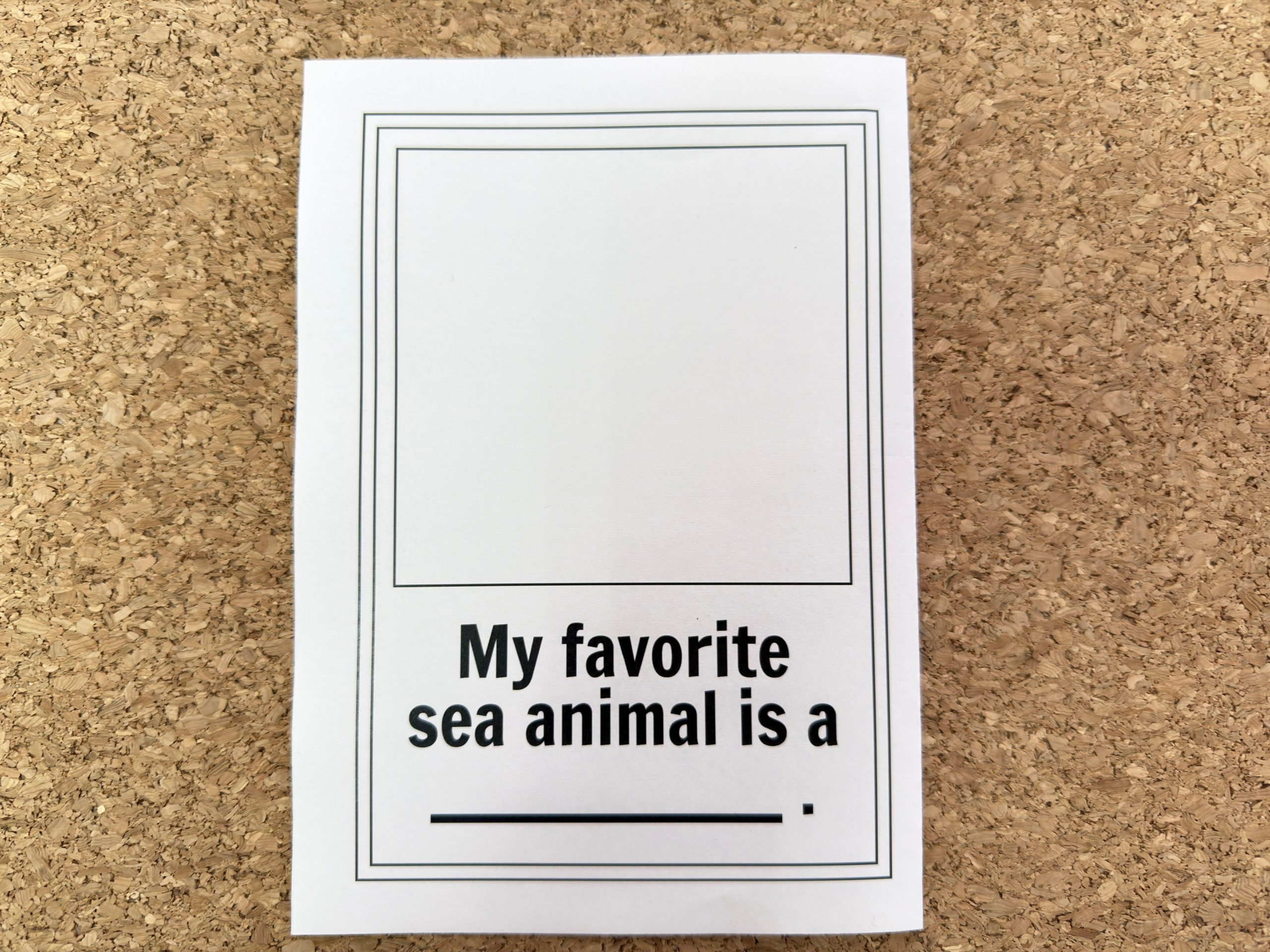 水族館ブック裏面